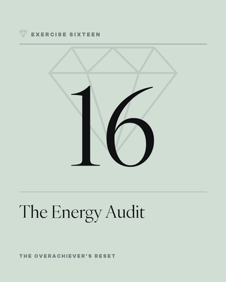 Exercise 16: The Energy Audit